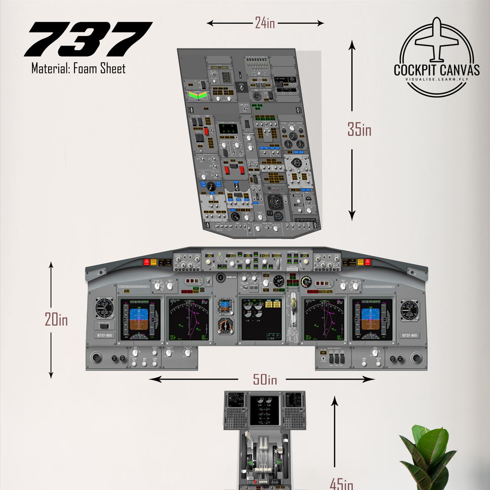 B737 Cockpit Training Poster